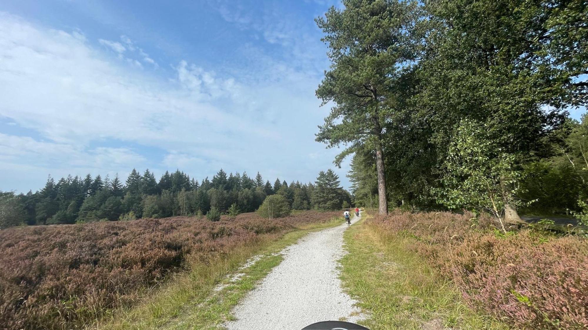 הוילה IJhorst Sayang26 Gezellige Gezinsvriendelijke Stacaravan Op Familiecamping De Vossenburcht In Natuurgebied Reestdal - No Workers Allowed מראה חיצוני תמונה